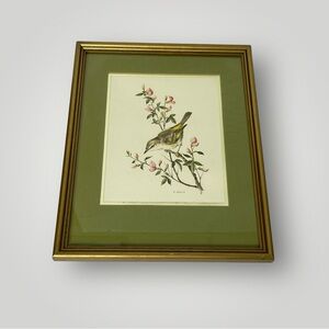 Songbird On a Branch Matted and Framed Print By A. Marlin 15" x 12"